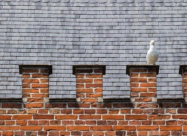 Commercial Roofs in Stockport by P Douglas Roofing & Building
