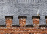 Commercial Roofs